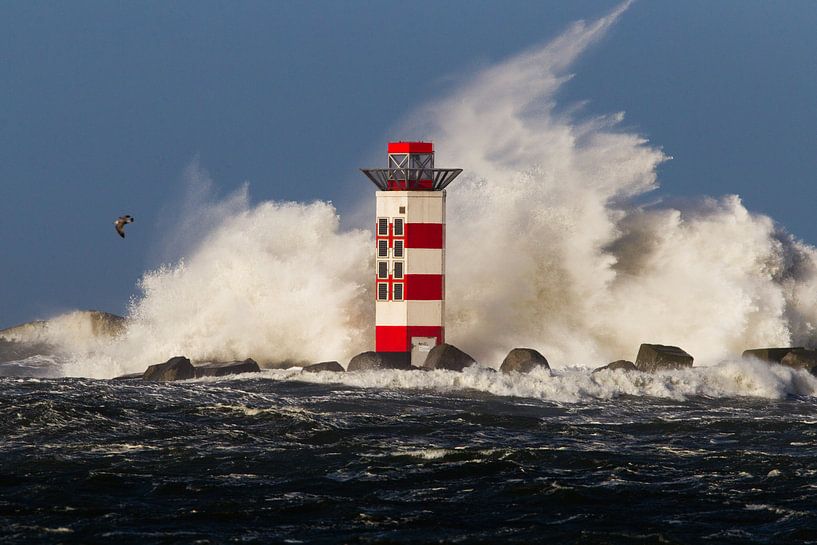 Kracht van de Noordzee tegen de vuurtoren van Menno van Duijn