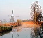 Moulin dans le polder par Johan Wouters Aperçu