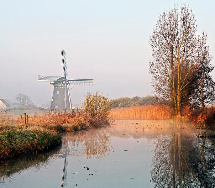 Mill in the polder by Johan Wouters