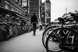 Bicycle parking in Amsterdam by Bart Rondeel