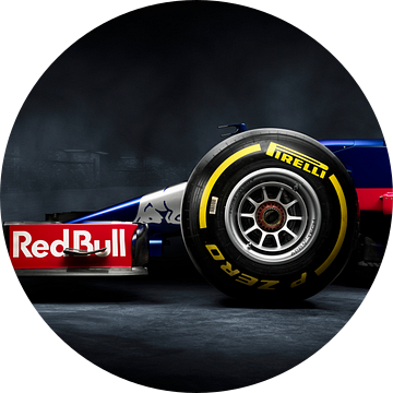F1 Formule 1 Toro Rosso STR12 2017 van Thomas Boudewijn