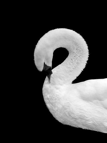 Von der Natur geschaffen