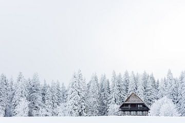 Winter Hut Retraite van Fabrizio Micciche