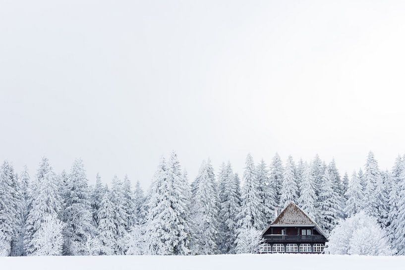 Winter Cabin Retreat by Fabrizio Micciche