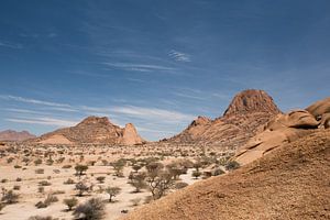 Spitzkoppe overzicht van Felix Sedney