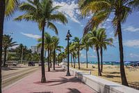 Paradise boulevard