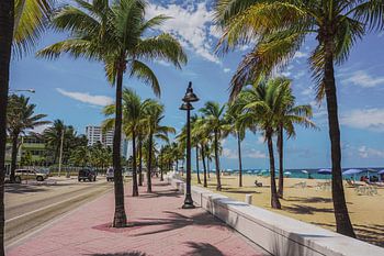 De weg in het paradijs