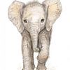 Schattige baby olifant | Voor de Kinderkamer van Lauren Wilde