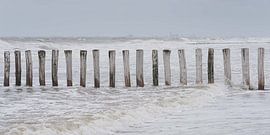 Breakwaters in the sea and on the beach of Cadzand by Marjolijn van den Berg