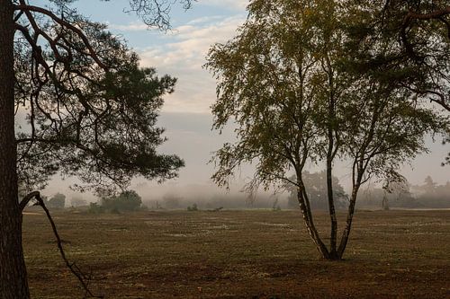 Dromerig landschap in het vroege najaar