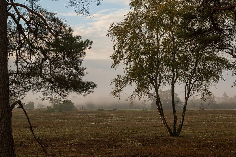 Verträumte Landschaft im Frühherbst von Arthur van der Zwan