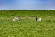 Un vieux portail dans une prairie par Frank Herrmann Aperçu