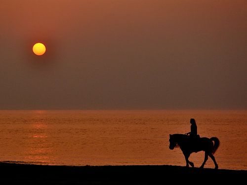 Amazone aan zee