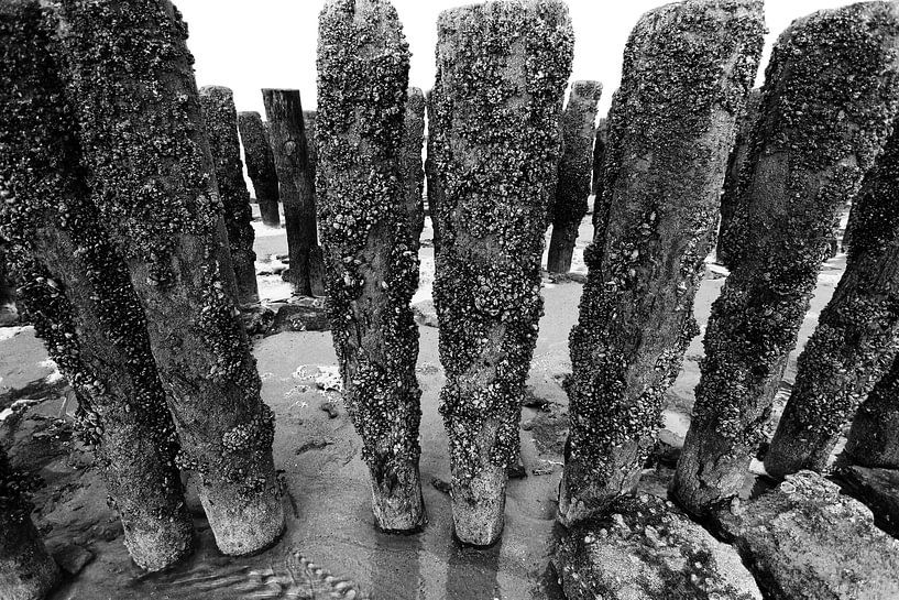beach posts-2 von Yvonne Blokland