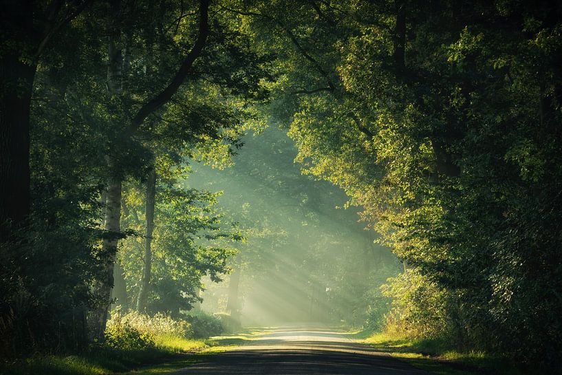 Bienvenue dans la lumière par Martin Podt