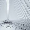 Die Oculus World Trade Center Transportation Hub Station am Ground Zero in Manhattan, New York von Bas Meelker