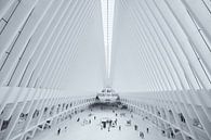 Die Oculus World Trade Center Transportation Hub Station am Ground Zero in Manhattan, New York von Bas Meelker Miniaturansicht