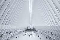 The Oculus World Trade Center Transportation Hub station at Ground Zero in Manhattan, New York