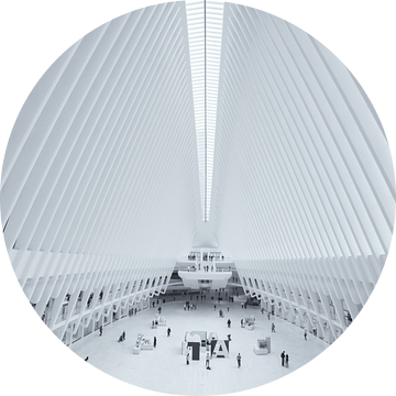 Het Oculus World Trade Center Transportation Hub station bij Ground Zero in Manhattan, New York van Bas Meelker