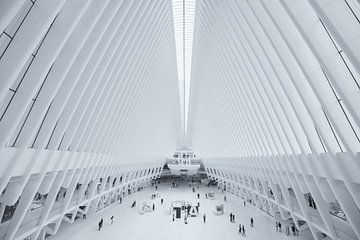 La station de l'Oculus World Trade Center Transportation Hub au Ground Zero à Manhattan, New York sur Bas Meelker