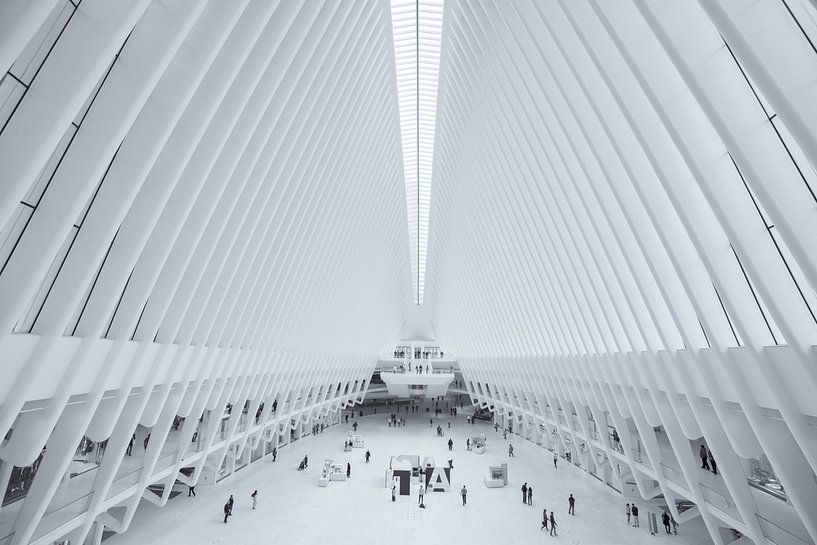 Het Oculus World Trade Center Transportation Hub station bij Ground Zero in Manhattan, New York van Bas Meelker
