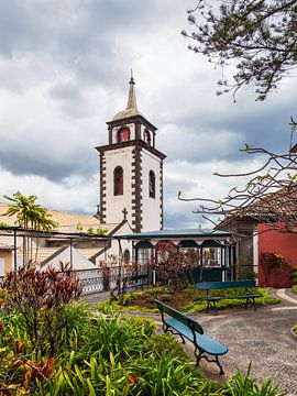 View to a church in Funchal on the island Madeira, Portugal van Rico Ködder