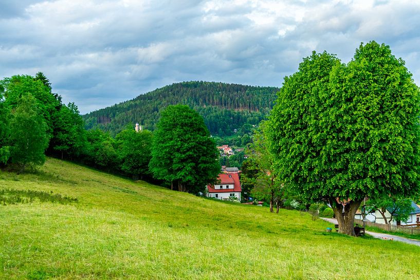 Sommerliche Entdeckungstour durch den Thüringer Wald bei Steinbach-Hallenberg - Thüringen von Oliver Hlavaty