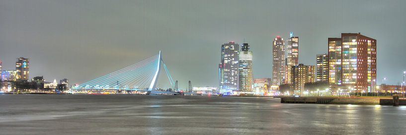 Uitzicht op de zwaan by Eric de Haan