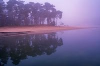 Henschotermeer in the morning fog