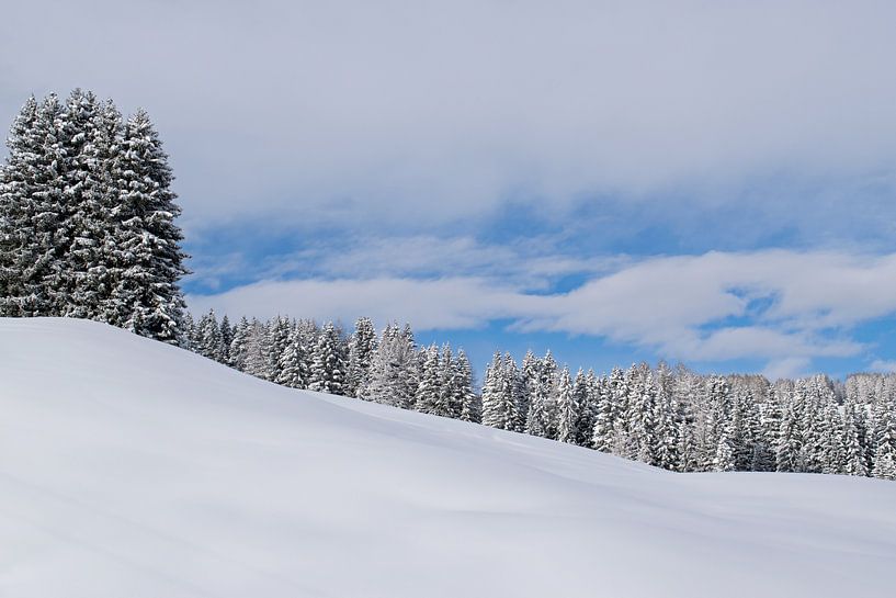 Sneeuw landschap in de bergen, Seiseralm Italië von Judith Cool
