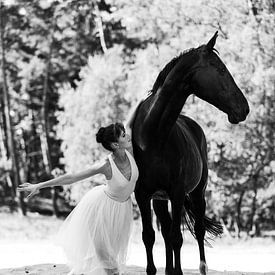 Dans van paard & ballerina 11 van Sabine Timman