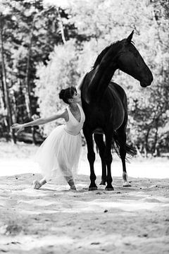 Dans van paard & ballerina 11 sur Sabine Timman