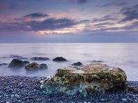 Silent witness