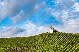 s'Türmle im Weinberg bei Meersburg