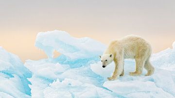 Sur la glace sur Joan Gil Raga