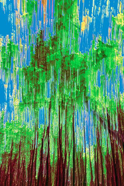 Wald und ein klarer blauer Himmel von Dick Jeukens