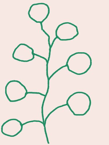 Croquis botaniques.  Feuilles vertes sur fond blanc.