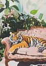 A lion relaxes by Niklas Maximilian thumbnail