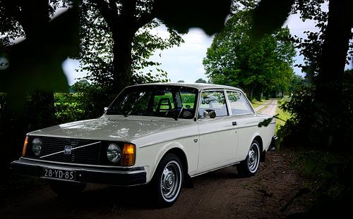 Klassischer Volvo 242