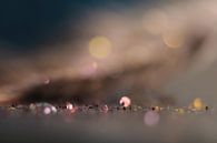 Evening city by Kvinne Fotografie thumbnail