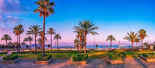 Mallorca met palmbomen en zonsondergang