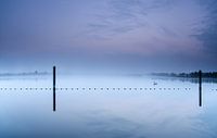 Twilight