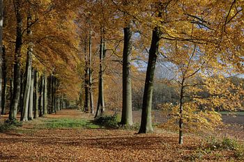 Laantje bij kasteel Pietersheim - Lane near Pietersheim Castlele