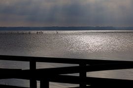 Usedom, Achterwasser by Thomas Jäger