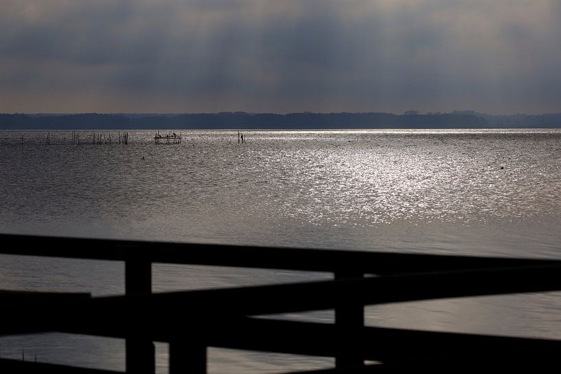 Usedom, Achterwasser von Thomas Jäger