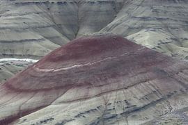 Beschilderde heuvels in het John Day Fossil Beds National Monument bij Mitchell City, Wheeler County