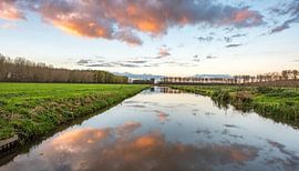paysage