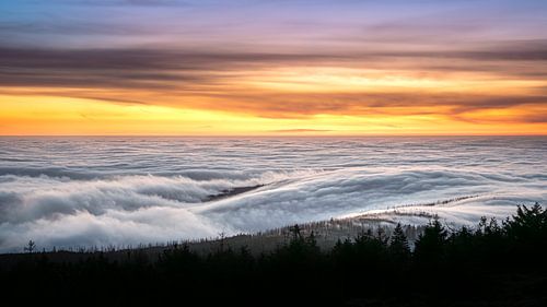 Sea of fog over the Harz Mountains