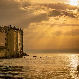 La côte de Rovinj dans le soleil du soir sur Tierfotografie.Harz