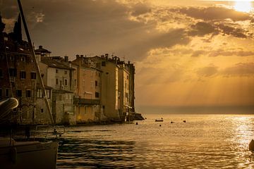 De kust van Rovinj in de avondzon